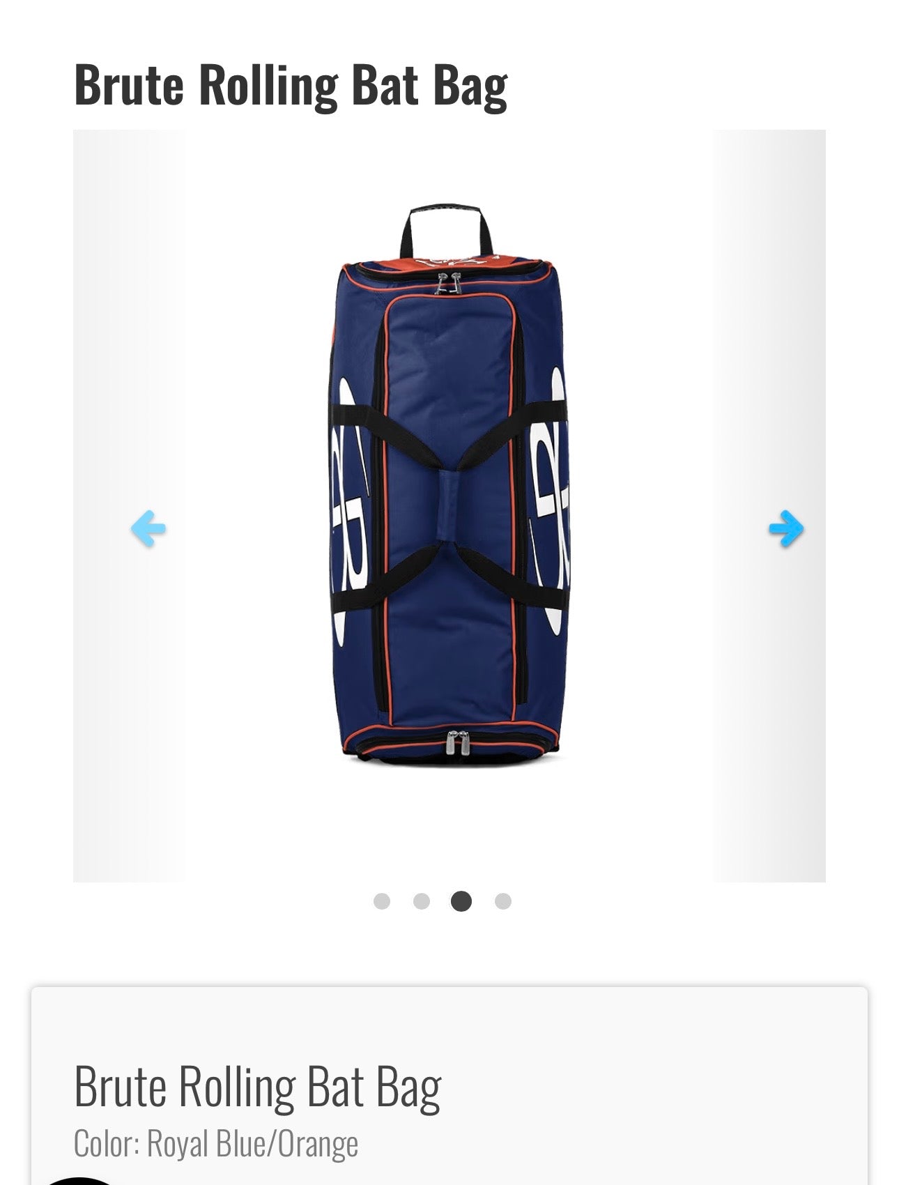 Rolling Catcher Bag
