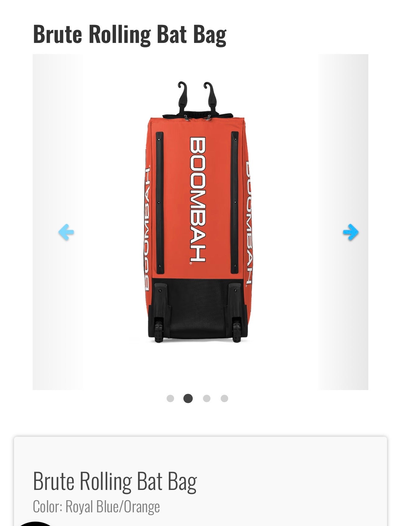 Rolling Catcher Bag