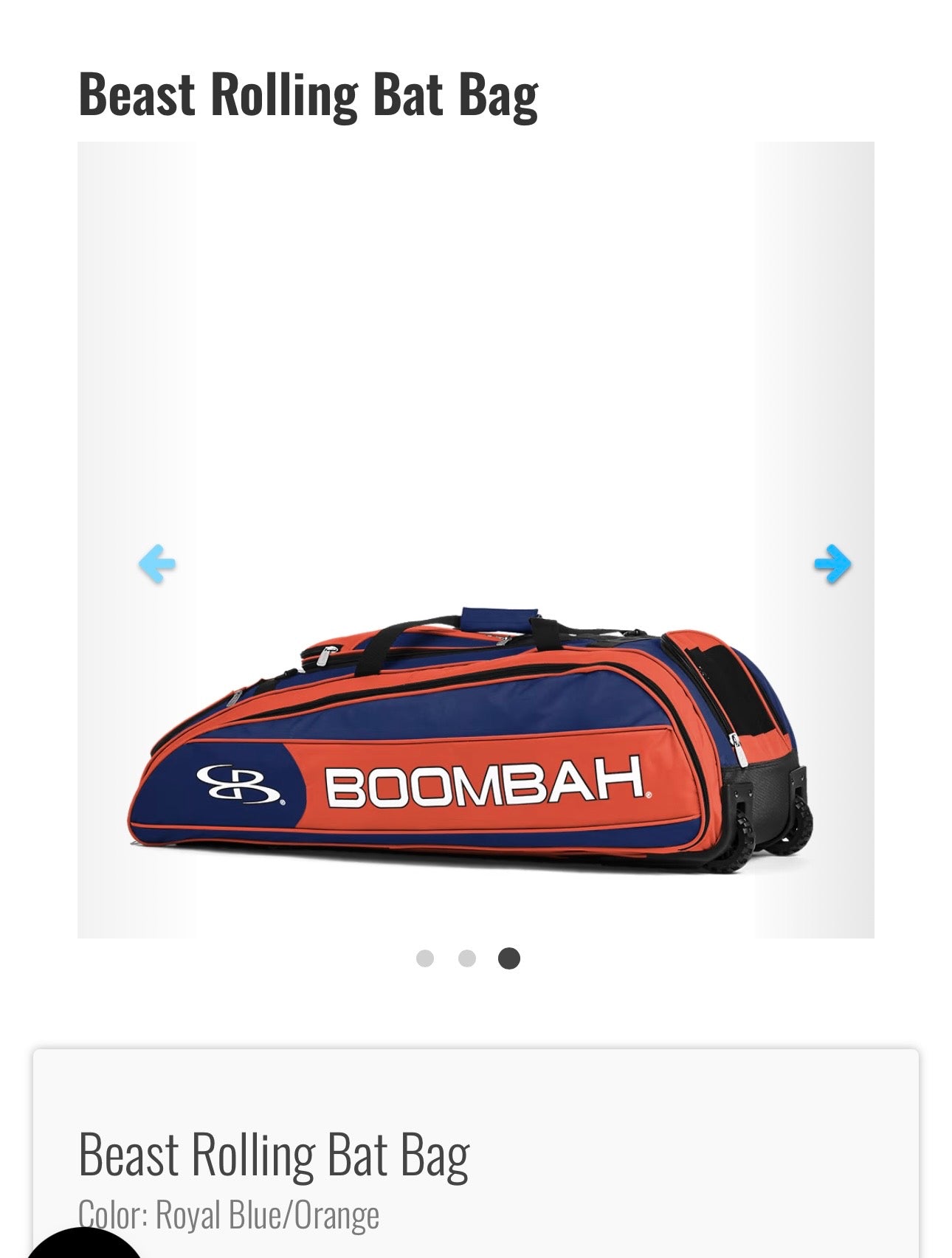 Rolling Catcher Bag