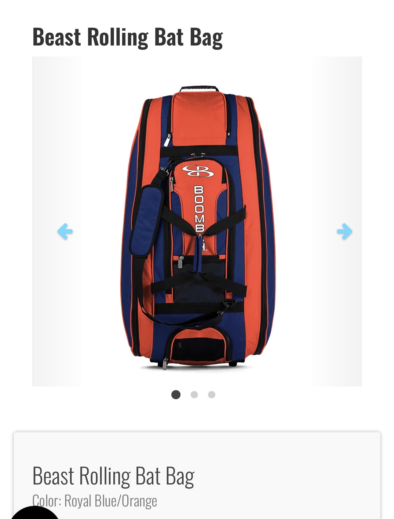 Rolling Catcher Bag
