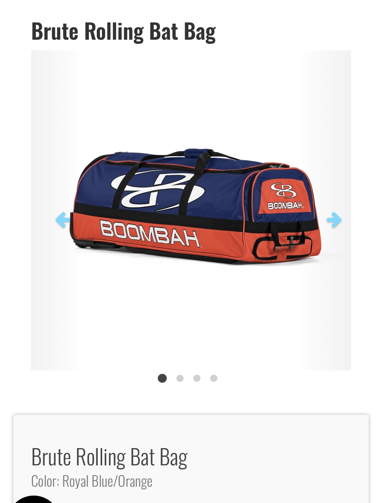 Rolling Catcher Bag