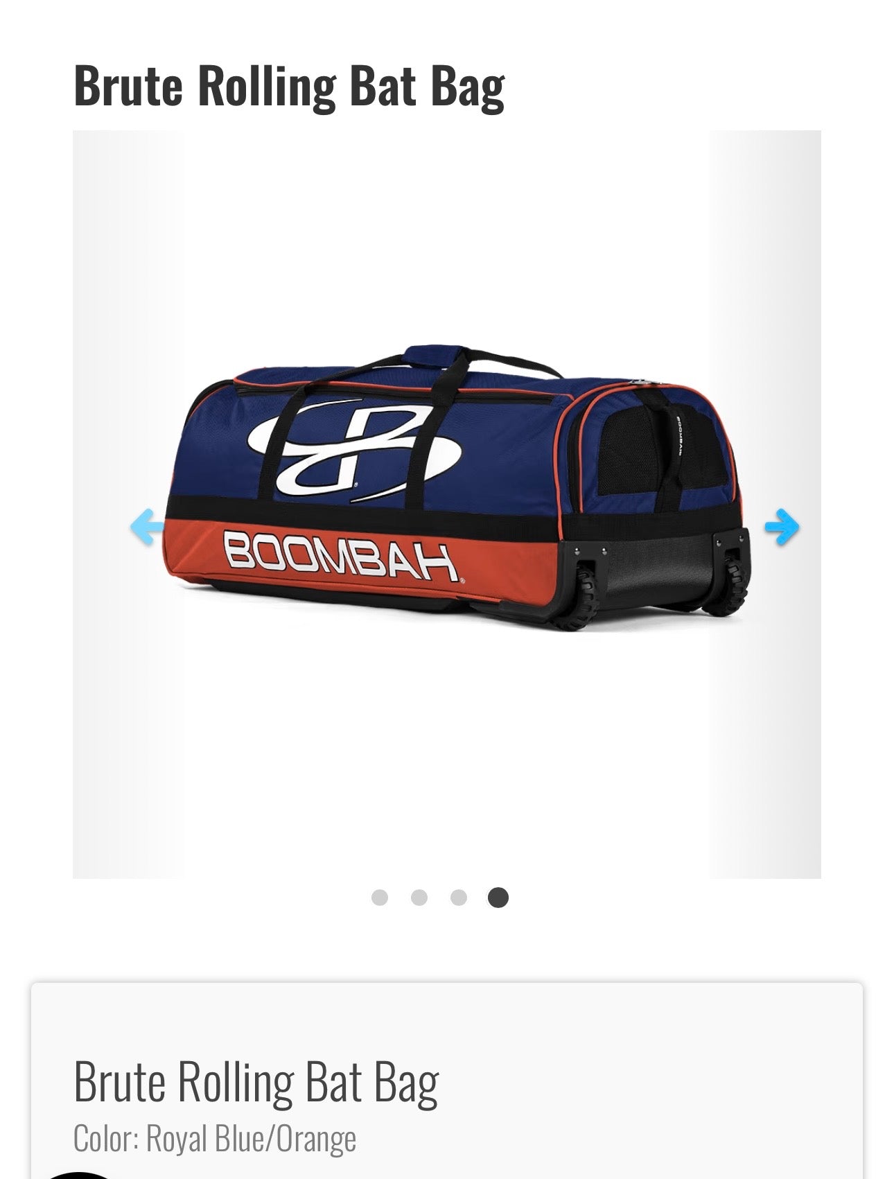 Rolling Catcher Bag