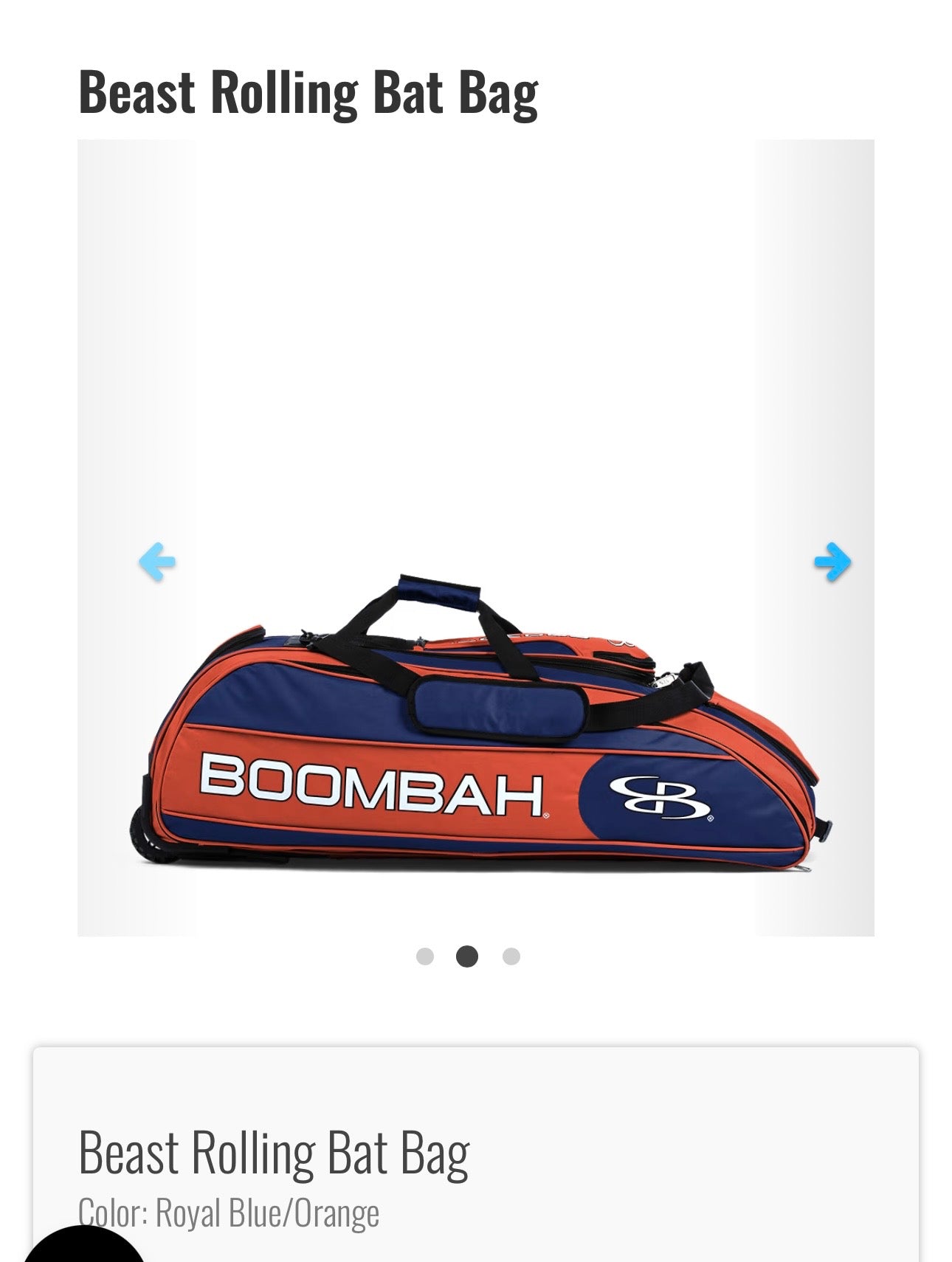 Rolling Catcher Bag