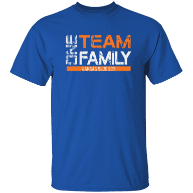 One Team One Family T-Shirt